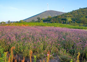 易景通景區(qū)票務(wù)系統(tǒng)和西山花海景區(qū)達(dá)成合作協(xié)議